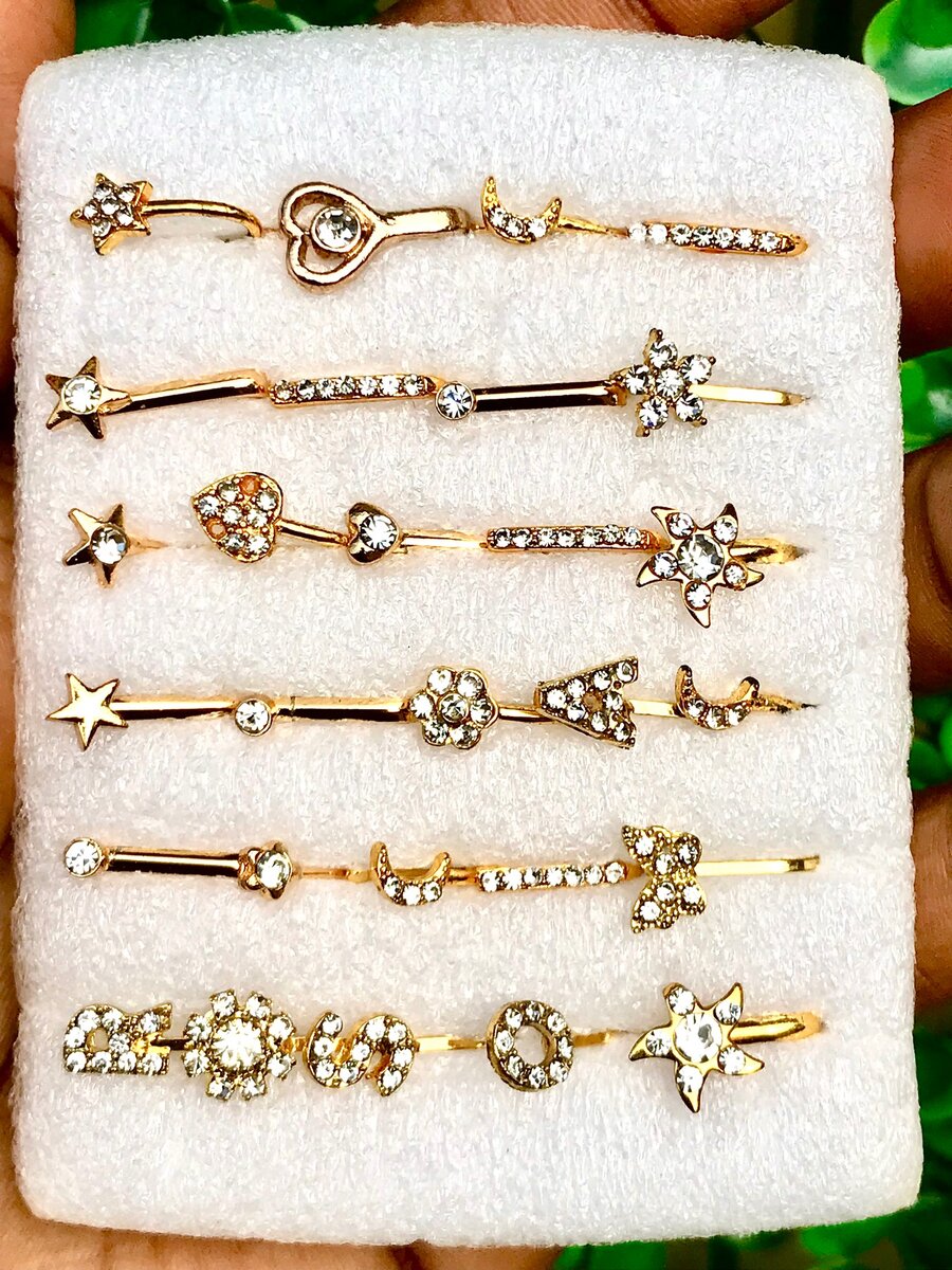 Magnetic nose ring