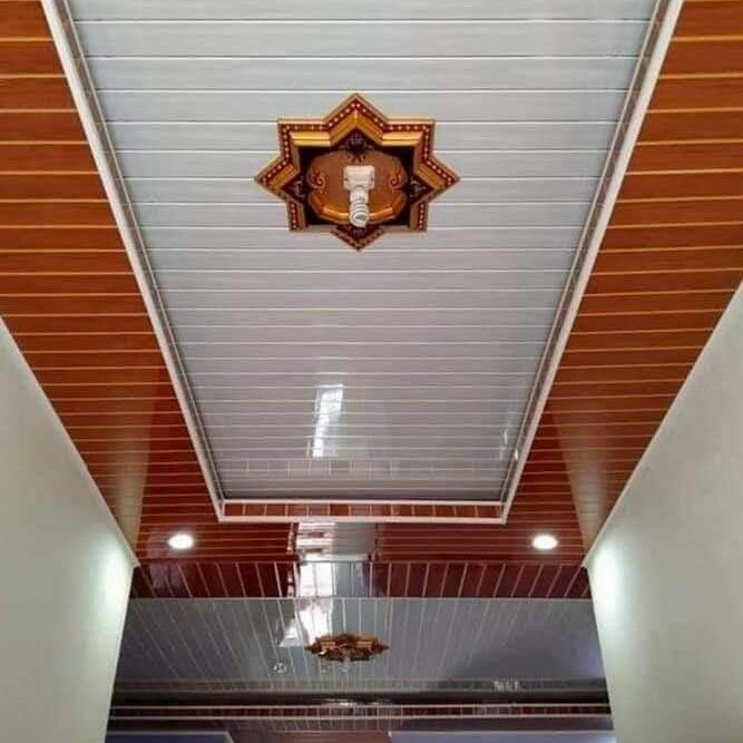 Plafonds en PVC Modernes Vente