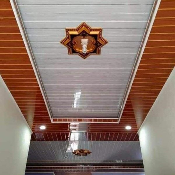 Plafonds en PVC Modernes Vente