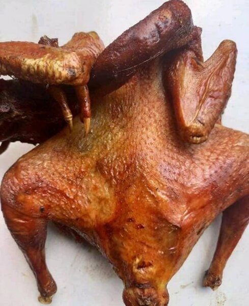 Poulet pondeuse