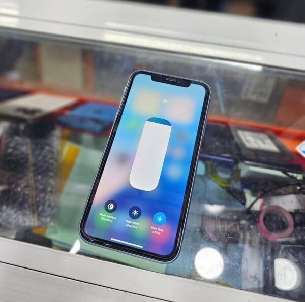 iPhone XR Bleu