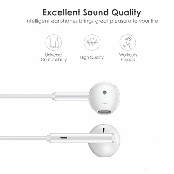 EarPod to lightning