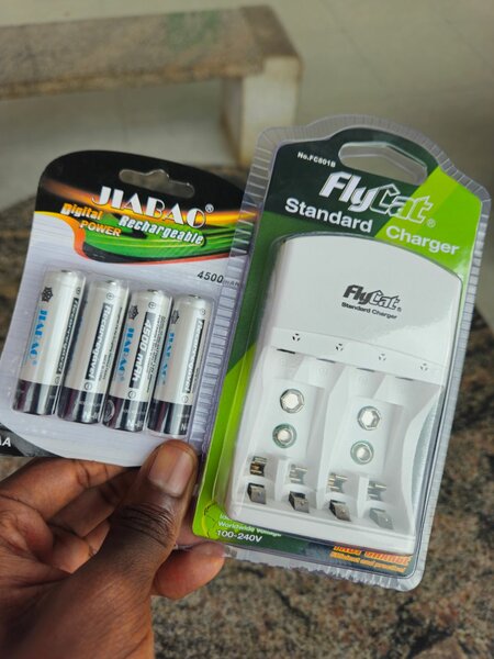 Chargeur et Piles Rechargeables