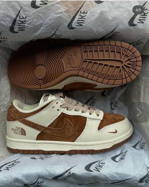 Nike sb dunk (north face)