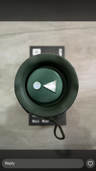 JBL Flip 6 speakers