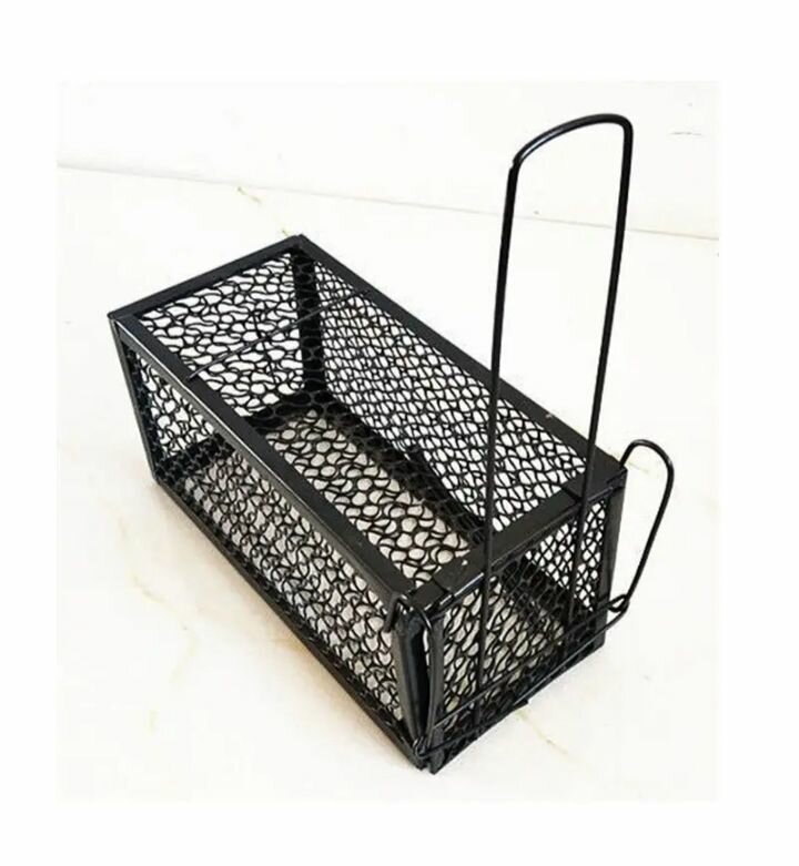 Cage à souris