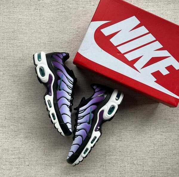 Chaussure Nike Tn