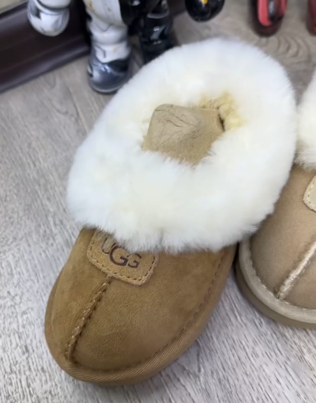 Сапоги