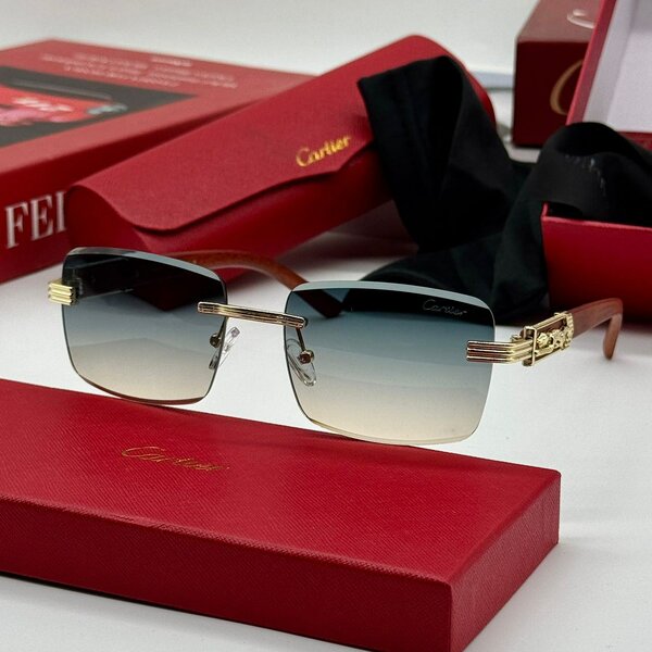 Fashion sunglasses