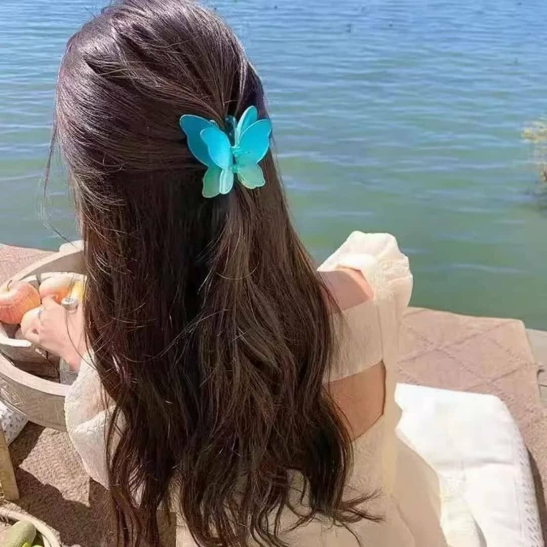 Pince Papillon Colorée