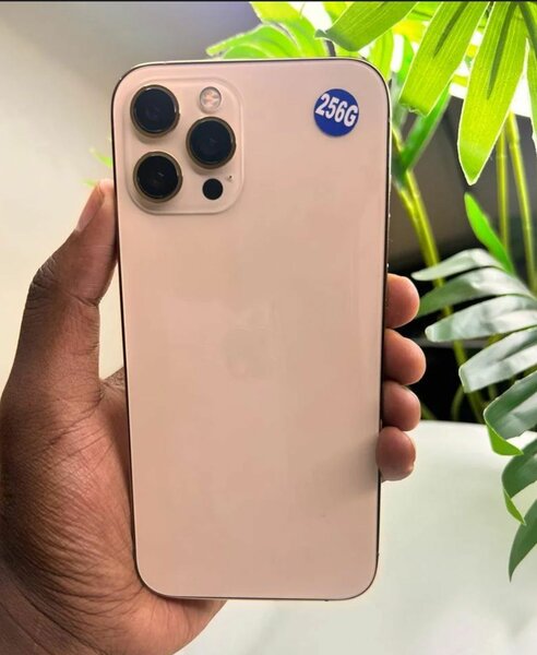iPhone 12 pro max