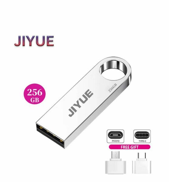 Clé USB 256GO
