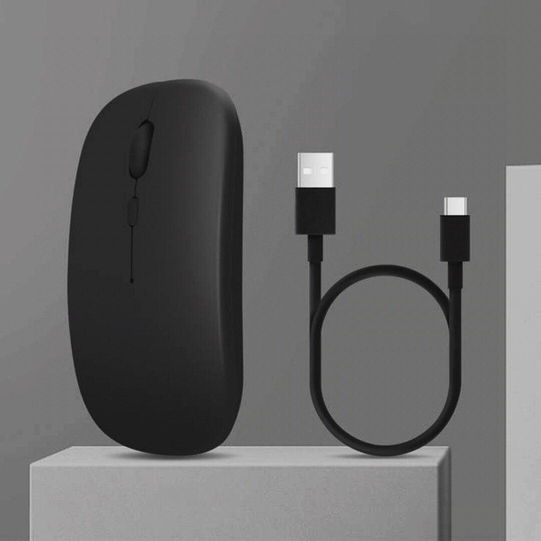 Souris rechargeable