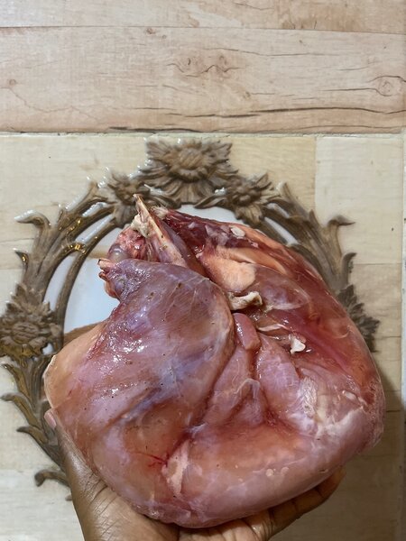 Viande de Lapin