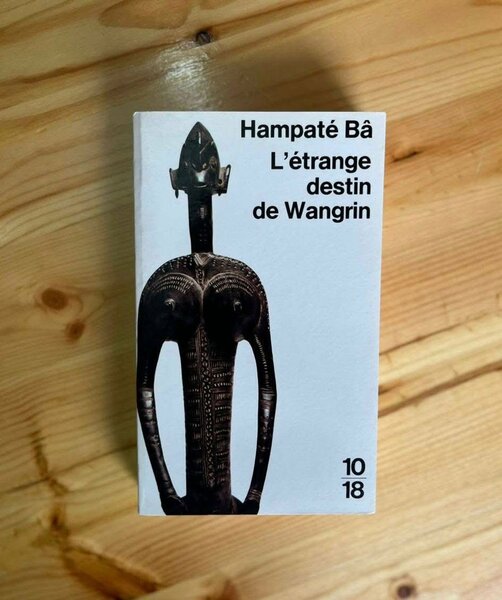 Romans Africains Inspirants