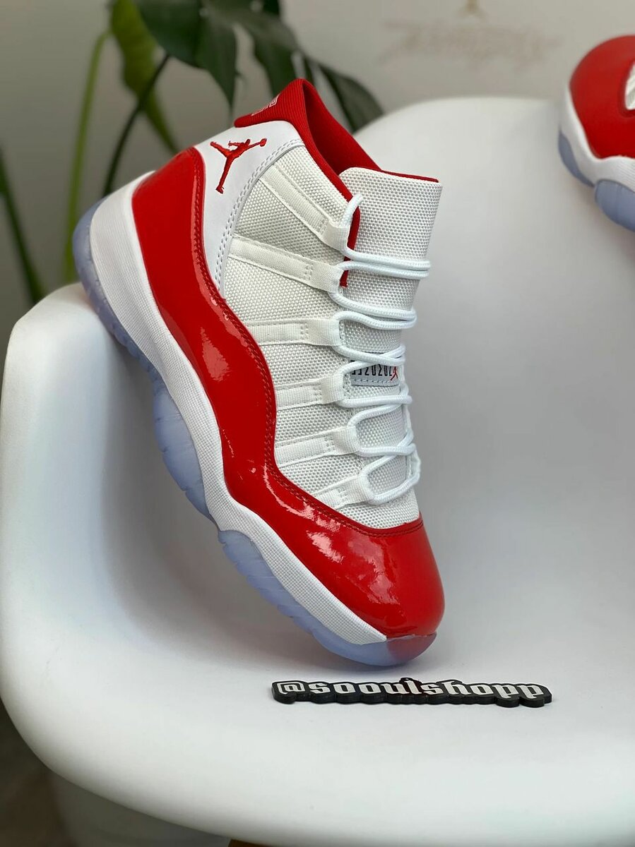 Air jordan 11