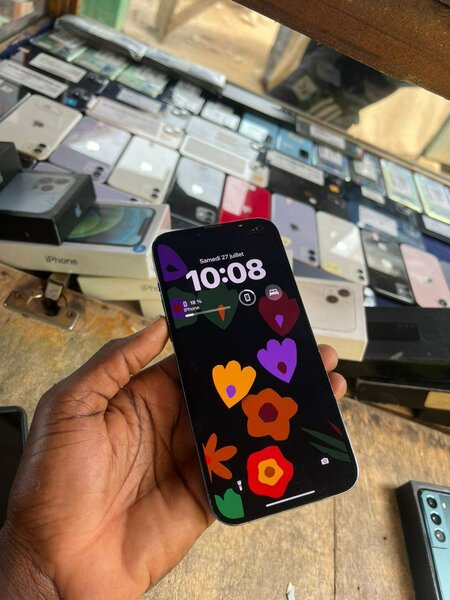 iPhone 13 pro max