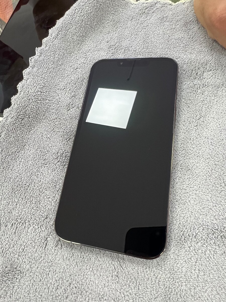 iPhone 13 Pro 256