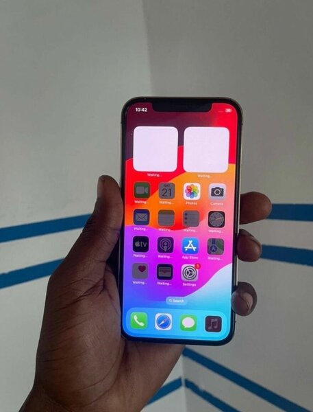 iPhone 12pro max