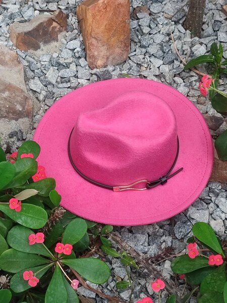 Fedora hat