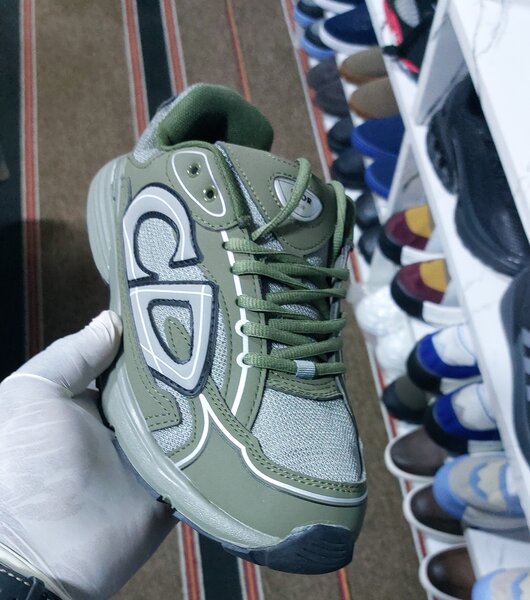 Dior b30