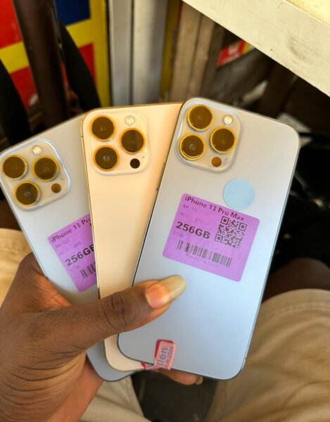 iPhone 13 Pro Max