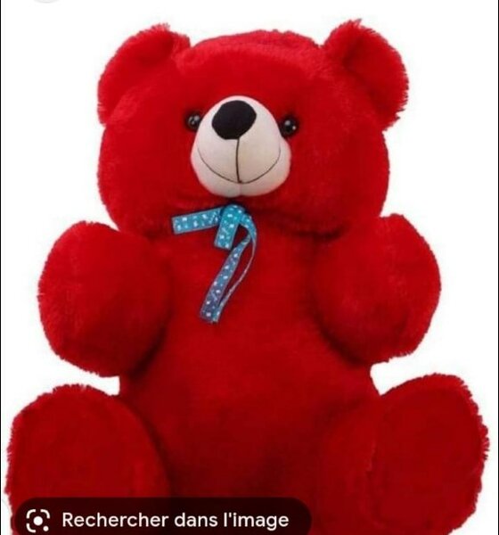  nounours