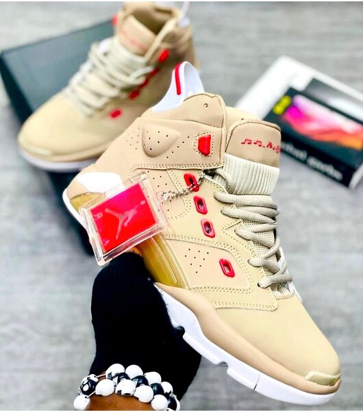 Air Jordan 6