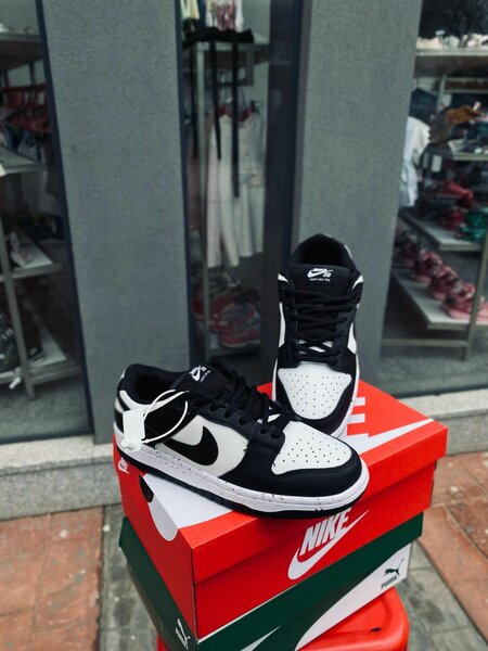 Nike SB