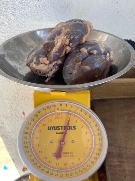 Rognon le 1kg/1500f