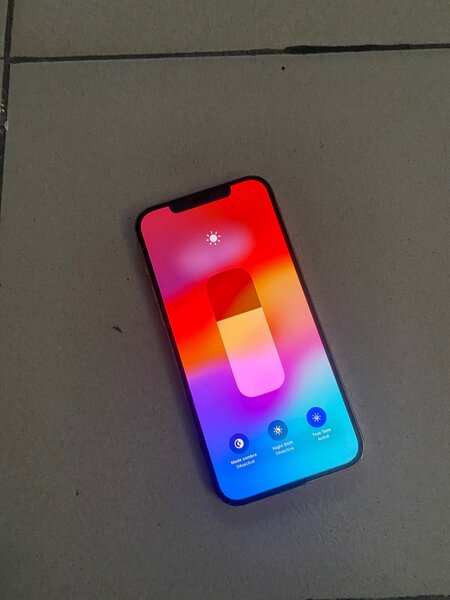 iPhone 12 Pro Max