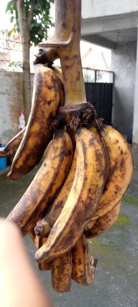 Nama market