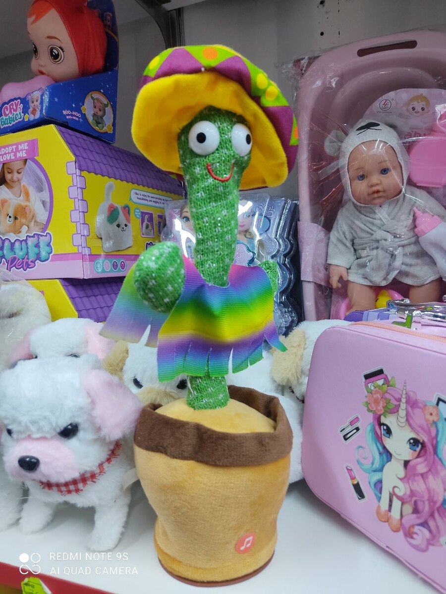 Кактус
