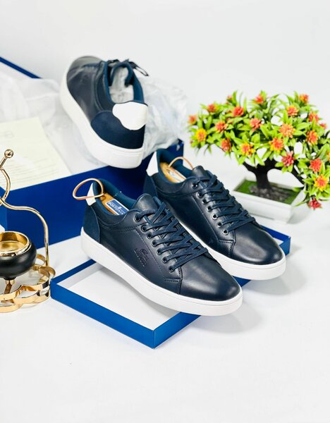 Fashion Sneakers