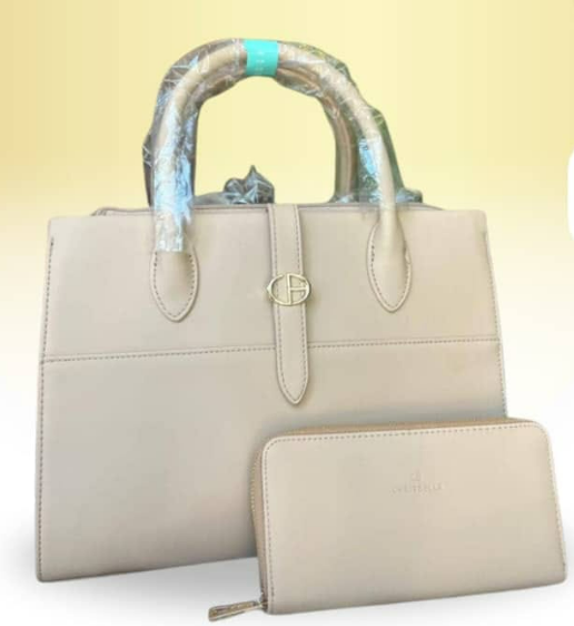 bag & purse combo