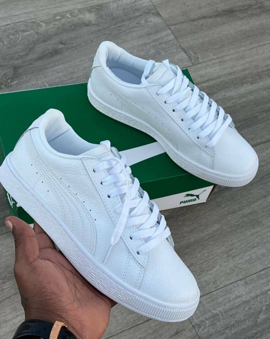 Puma