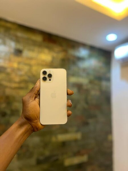 iPhone 12 pro max