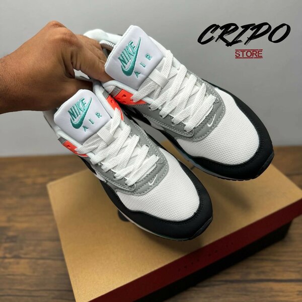 Nike Air Max Sneakers homme