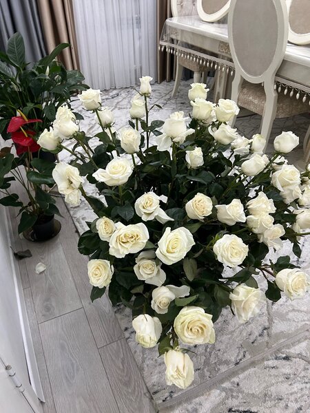 Белые розы
