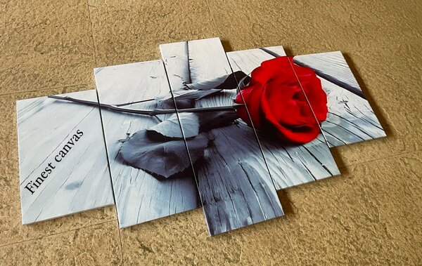 5 piece wall decor