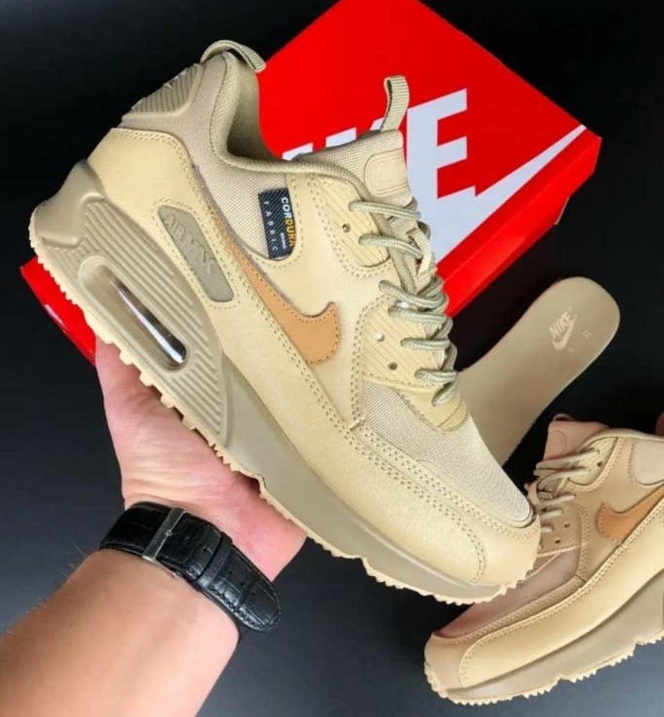 Chaussure homme Air Max