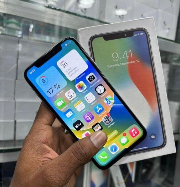 iPhone X