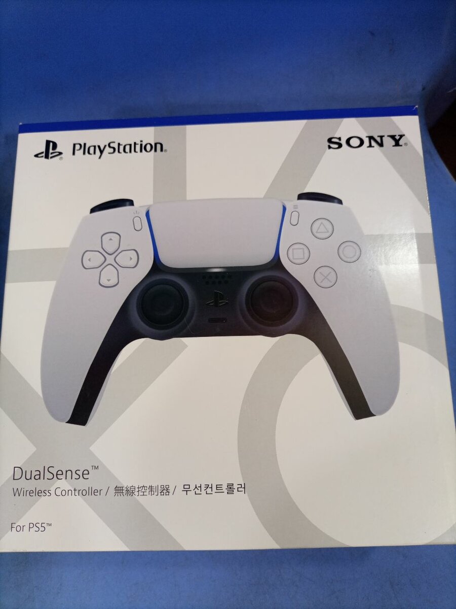 PS5 Game Controller