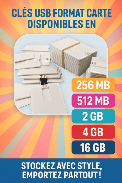 Clé USB Carte 256MB ( en gros)