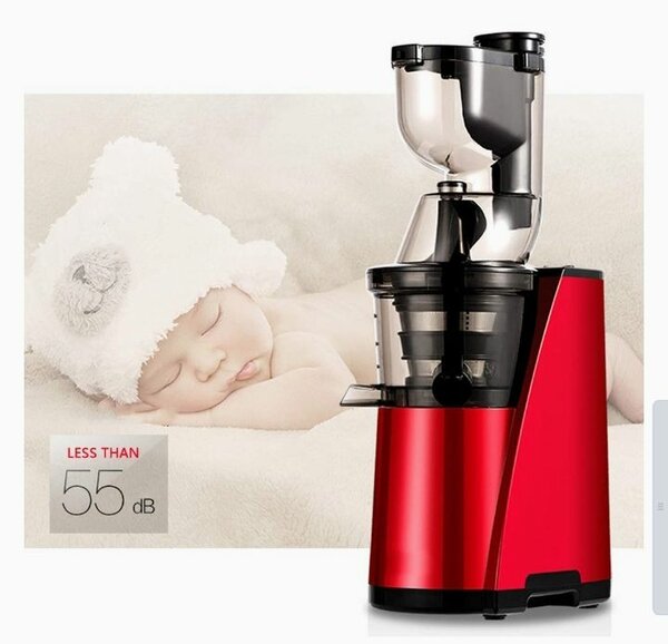 Biochef whole slow Juicer Multipurpose