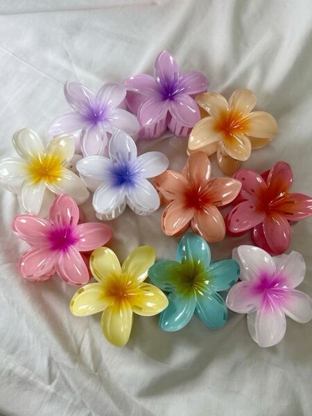 Pinces à cheveux colorées