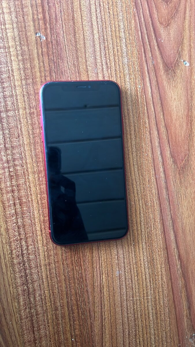 iPhone XR rouge