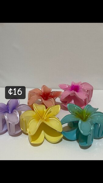 Hair clip