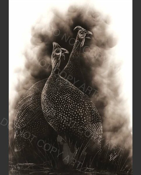 Guinea Fowl