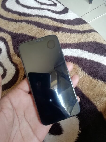 iPhone X